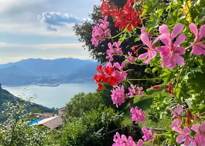 Casa Vacanze Il Pettirosso.