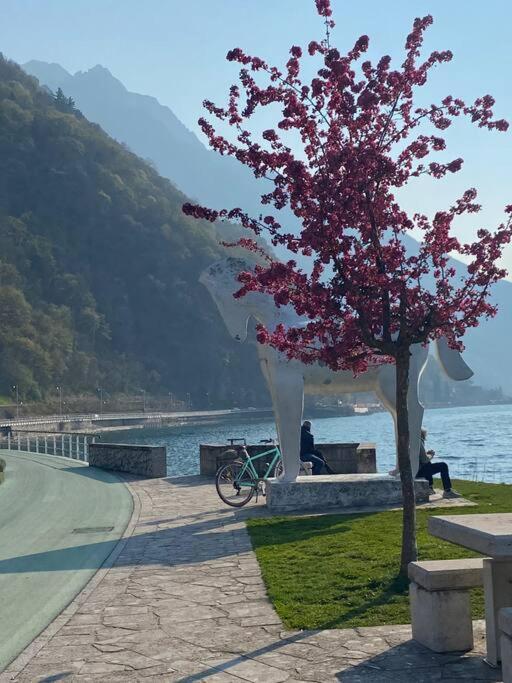 Holiday home Il Pettirosso. Pisogne