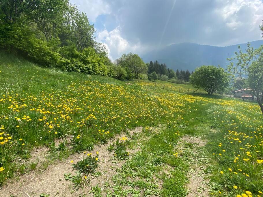 Il Pettirosso. Holiday home Pisogne