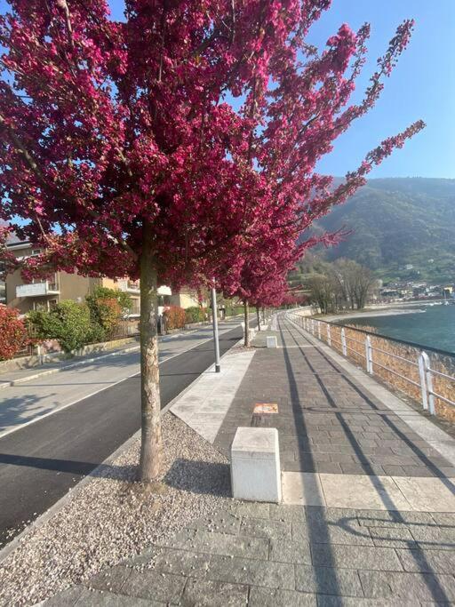 Holiday home Il Pettirosso. *