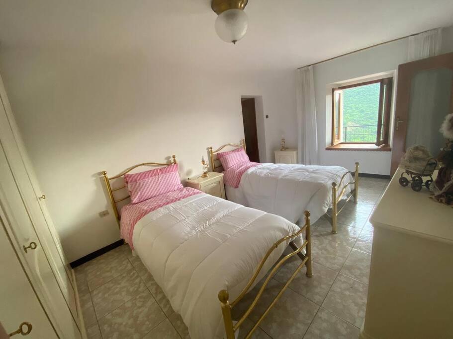 Il Pettirosso. Holiday home