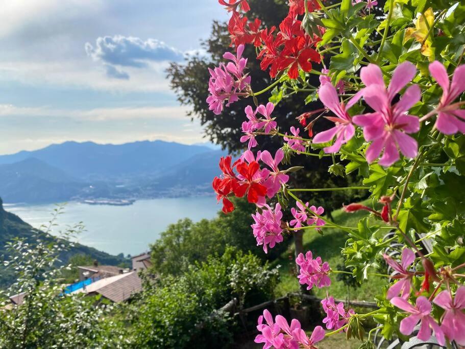 Holiday home Il Pettirosso. *